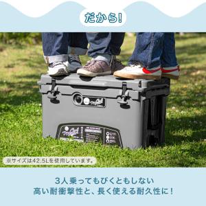 クーラーボックス 小型 18.9L/20QT ...の詳細画像5