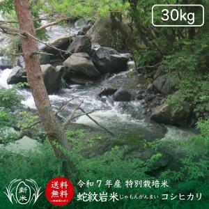 新米】【令和7年産】【送料無料】滋賀県産にじのきらめき玄米30kg