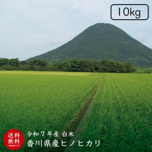令和7年産】【送料無料】滋賀県産にじのきらめき玄米30kg【精米料無料