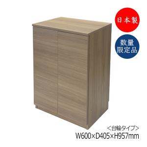 シューズボックス 下駄箱 靴入れ 隙間収納 開き...の商品画像