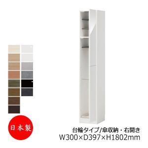 シューズボックス 下駄箱 靴入れ 隙間収納 台輪タイプ 開き戸 左開き
