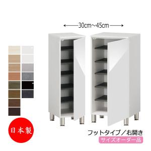 シューズボックス 下駄箱 靴入れ 隙間収納 フットタイプ 開き戸 左開き