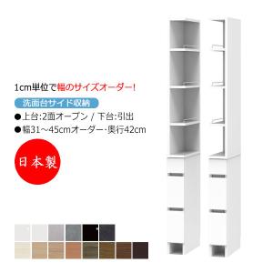 カウンター下収納 すきま収納 開き扉シリーズ 奥行25cm用 イン