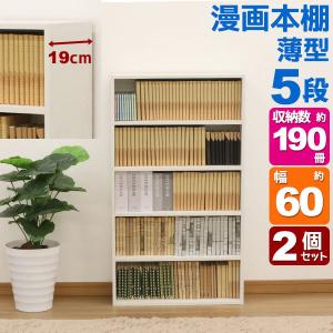 薄型本棚 ハイタイプ本棚 幅90cm 本棚 ラック おしゃれ ぼん家具 ABR920149