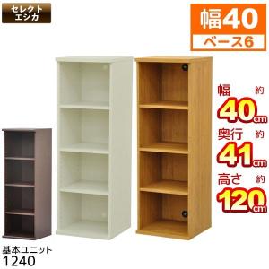 収納棚 幅40cm (S)セレクトエシカ基本ユニット1240(SS-1240) 幅40.1cm 奥行き39.9cm 高さ120.5cm 収納ラック カラーボックス フリーラック 本棚 隙間収納