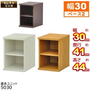 収納棚 幅30cm セレクトエシカ基本ユニット5030(SS-5030) 幅30.1cm 奥行き39.9cm 高さ43.7cm 収納ラック カラーボックス フリーラック 本棚 隙間収納 すきま収納