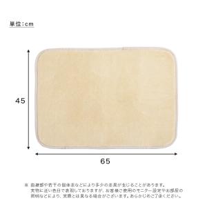 洗える 玄関マット 小さい 室内 45×65 ...の詳細画像1