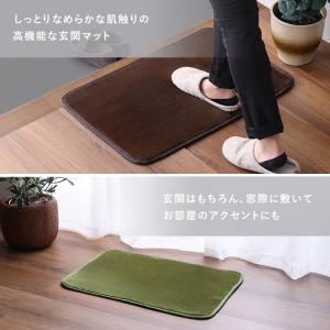 洗える 玄関マット 小さい 室内 45×65 ...の詳細画像4