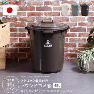 ブリキ製ごみ箱　蓋付き　2個セット　おしゃれ 楽天市場】小物入れ ブリキ ふた付き ボックス 2個セット