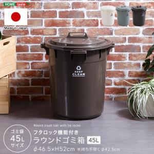 ゴミ箱 バケツ型 45リットル 45L ふた付き ロック付き 取っ手付き 屋内 屋外 どこでも使える 日本製 国産 ごみ箱 おしゃれ 軽い 大容量 丸型 キッチン ペール｜kaguto