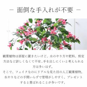 観葉植物 大型 ブーゲンビリア フェイクグリー...の詳細画像1