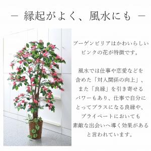 観葉植物 大型 ブーゲンビリア フェイクグリー...の詳細画像2