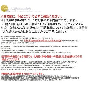 観葉植物 大型 ブーゲンビリア フェイクグリー...の詳細画像4