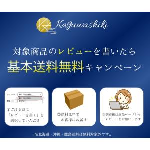 観葉植物 大型 ブーゲンビリア フェイクグリー...の詳細画像5