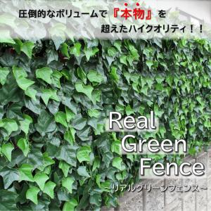 グリーンカーテン グリーンフェンス リーフラティス 2枚セット 1×1m