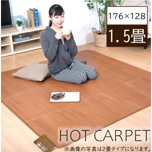 ホットカーペット 1.5畳 電気カーペット ダニ退治 フローリング 木目調 拭ける CWC1515-WBZ 足元用 防水 ダイニング用
