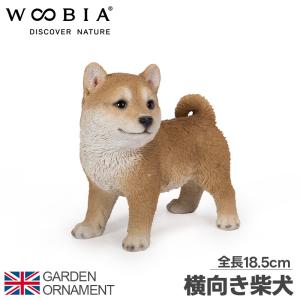 お座り 柴犬 （大） 41 x 17 40.2cm (幅x奥x高) 本物そっくり リアル