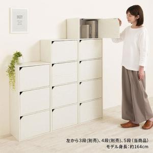 カラーボックス 扉付き 5段ボックス 収納棚 ...の詳細画像2