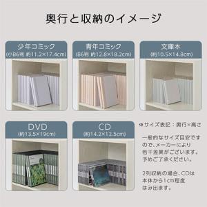 本棚 2段 A4 2列収納 カラーボックス 横置き コミック収納 大