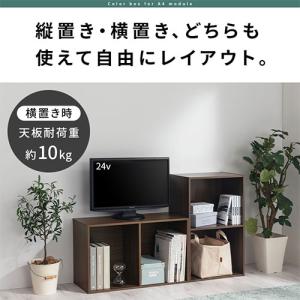 【完成品】 カラーボックス A4 2段 本棚 ...の詳細画像4