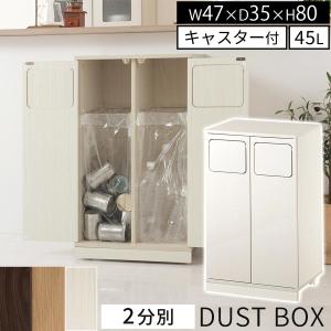 ぼん家具 ゴミ箱 45リットル 45L ダストボックス 2分別 ごみ箱 スリム