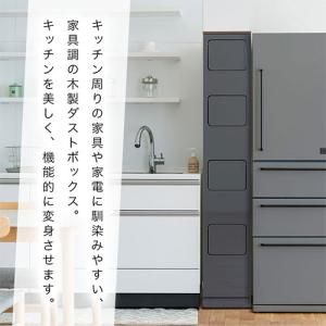 【完成品】 ゴミ箱 ダストボックス 分別 キッ...の詳細画像2