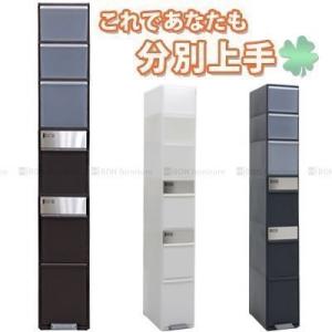 dinos（ディノス） DOTTUS/ドッタス ダストボックス3段（3分別ゴミ箱