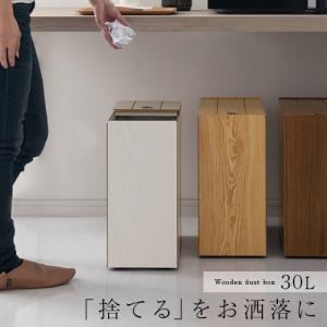 ゴミ箱 おしゃれ 蓋つき 蓋付きゴミ箱 スリム ダストボックス カウンター 30l スライドペール ペール かわいい 分別 30リットル 密閉 フタ 高級感 デザイン 木製 Dtb6000 インテリアのゲキカグ Yahoo 店 通販 Yahoo ショッピング