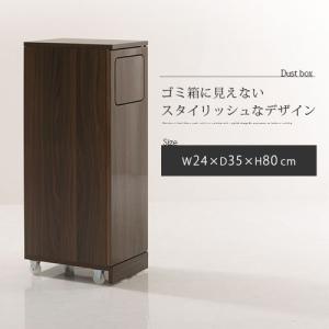ゴミ箱 45リットル 45L ダストボックス ...の詳細画像1