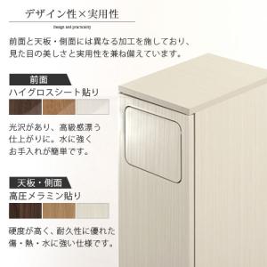 ゴミ箱 45リットル 45L ダストボックス ...の詳細画像3