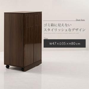 ゴミ箱 45リットル 45L ダストボックス ...の詳細画像1