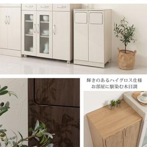 ゴミ箱 45リットル 45L ダストボックス ...の詳細画像2