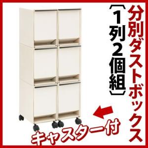 ゴミ箱 分別 ダストボックス 分別ゴミ箱 分別ダストボックス