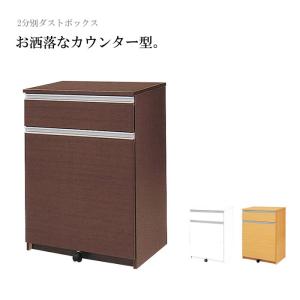 キッチンカウンター ダストボックス ゴミ箱収納 ごみ箱 45リットル 45L 2分別 幅約65cm おしゃれ｜kaguyatai