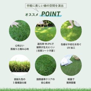 人工芝 人工芝生 除草シート付き 幅1m×長さ...の詳細画像2
