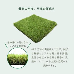 人工芝 人工芝生 除草シート付き 幅1m×長さ...の詳細画像3