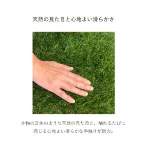 人工芝 人工芝生 除草シート付き 幅1m×長さ...の詳細画像4