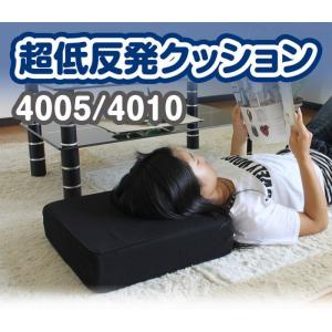 ショップジャパン（Shop Japan） トゥルースリーパー 腰らくクッション
