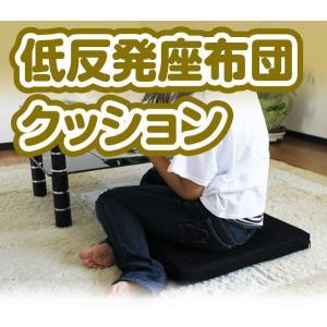 トゥルースリーパー（True Sleeper） 【正規品】新品 低反発座布団