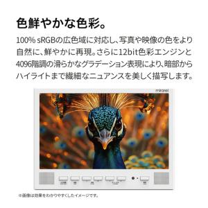 お取り寄せ 16MBTW+ mirarel 浴...の詳細画像4