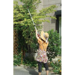 ●藤原産業 千吉 三段伸縮高枝切りバサミ 15...の詳細画像2