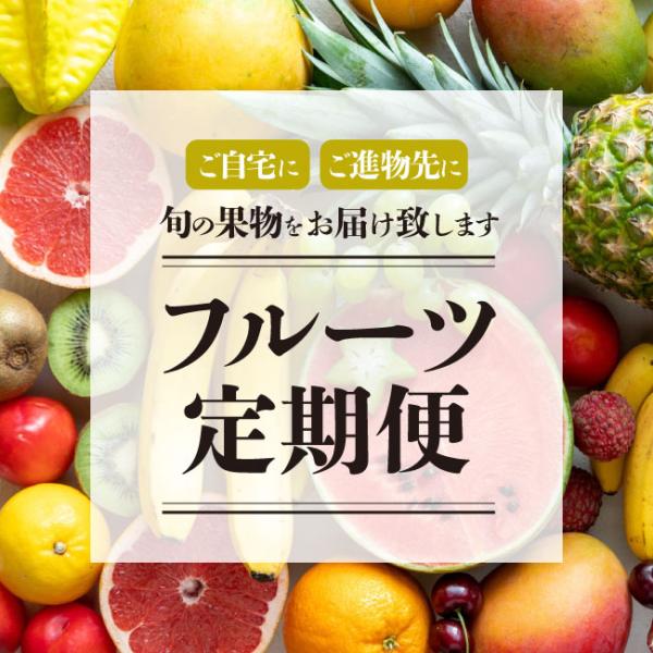 旬の果物直送！フルーツ定期便【送料無料】6ヶ月