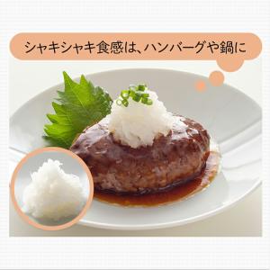 スライサー セット 貝印 SELECT100 ...の詳細画像3