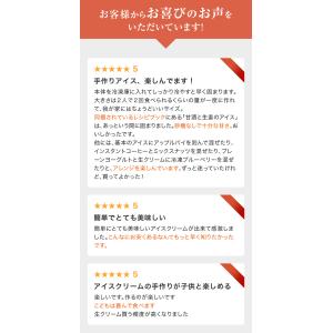 TVで紹介!アイスクリームメーカー 貝印 アイ...の詳細画像2