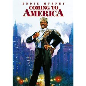 人気激安 デジタルリマスター版 Dvd 劇場版 4 3 超高画質名作映画シリーズ77 West キートンの西部成金 Go 邦画 Whatisagpo Com