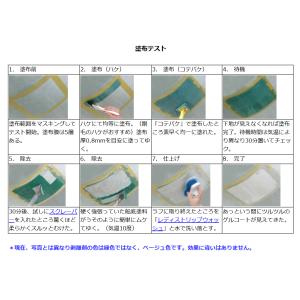 アクアストリップ 1ガロン(3.8リットル)の詳細画像2