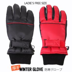 保温 Thinsulate スキー手袋 メンズ 五本指 防寒 スキーグローブ