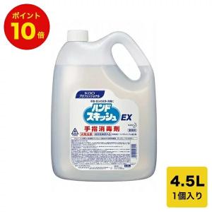 [ポイント10倍]アルコール消毒 ハンドスキッシュEX4.5L ベンザルコニウム塩化物 指定医薬部外品 1入｜kaicom