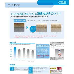 カビ対策 カビとり洗剤 カビクリア 5L 1入の詳細画像2