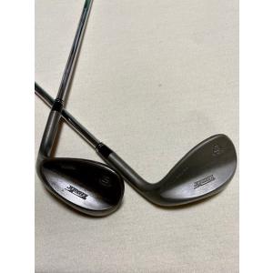 MIZUNO（ミズノ） ミズノT20 51度 DG105 S200 : 大人の教室・快打